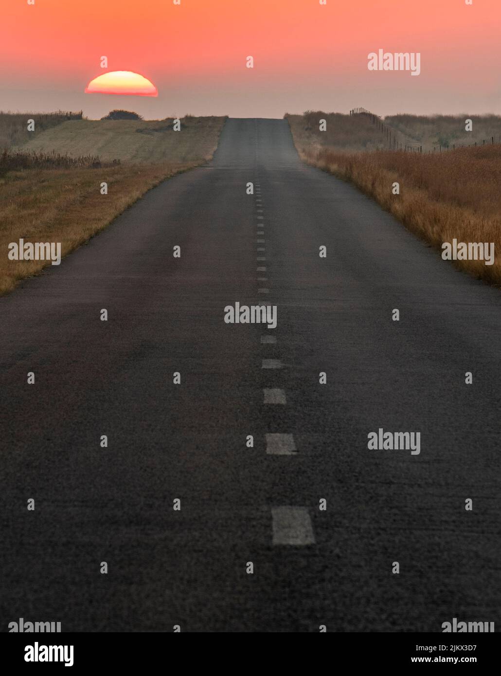 A vertical shot of a straight road through the fields in the countryside at sunset Stock Photo