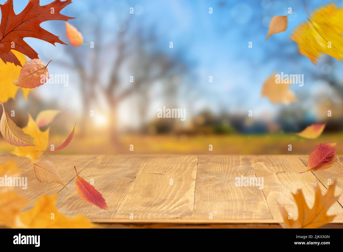 Autumn background with flying orange leaves. Copy space Stock Photo