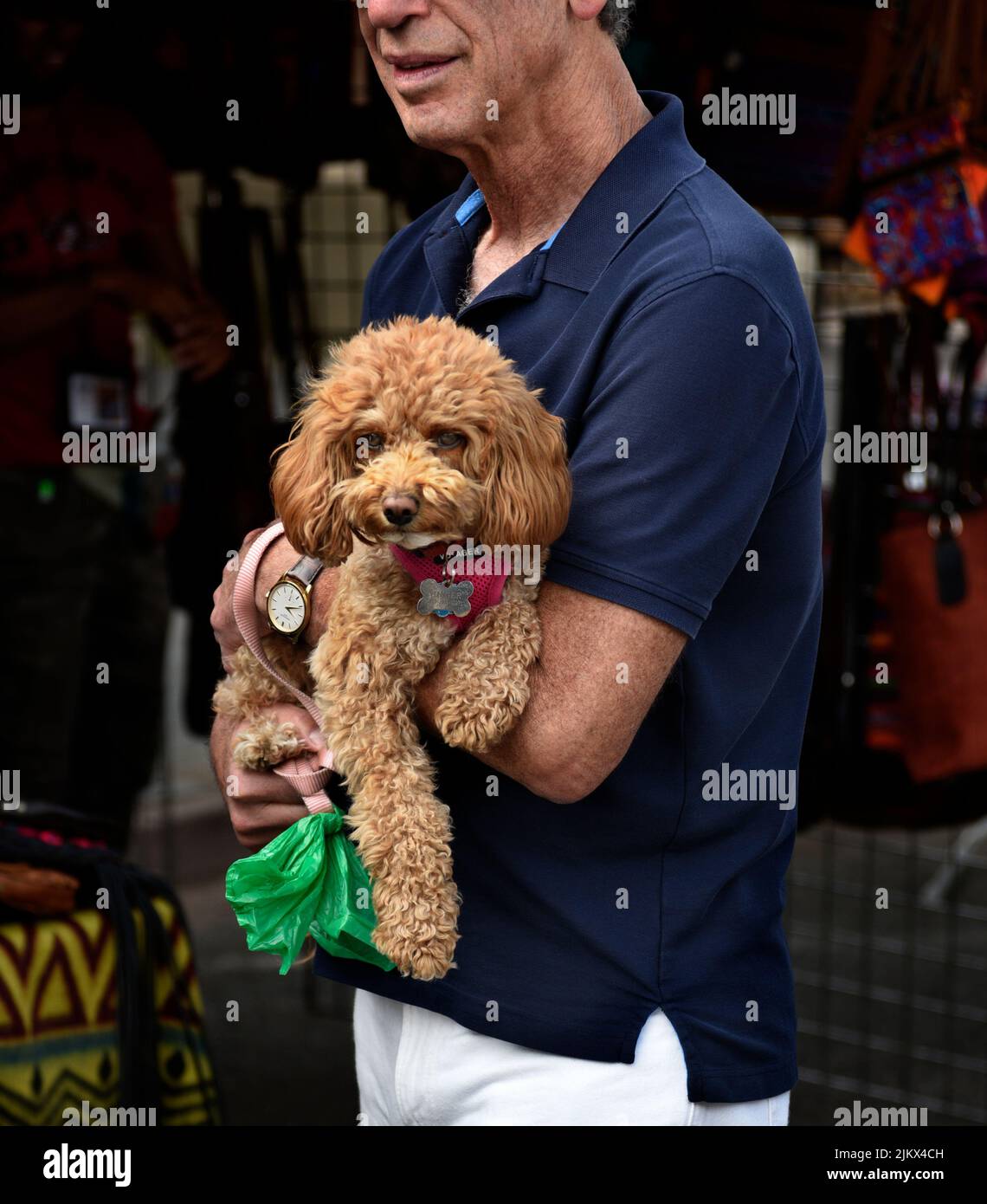 A man holds his pet dog as they enjoy an outdoor arts festival in Santa Fe, New Mexico. Stock Photo
