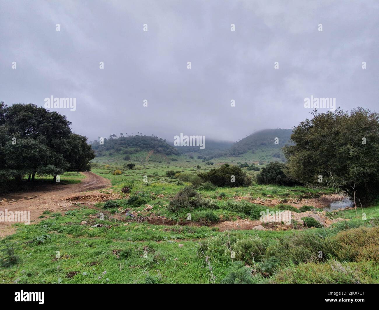 A beautiful view of nature on a misty day Stock Photo