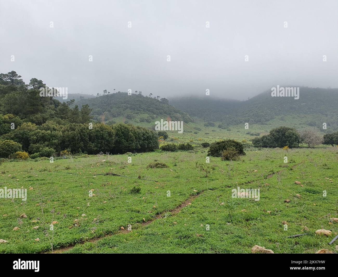 A beautiful view of nature on a misty day Stock Photo