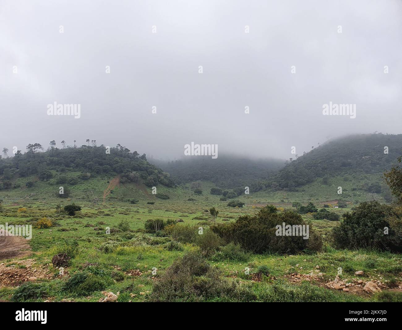 A beautiful view of green hills on a misty day Stock Photo