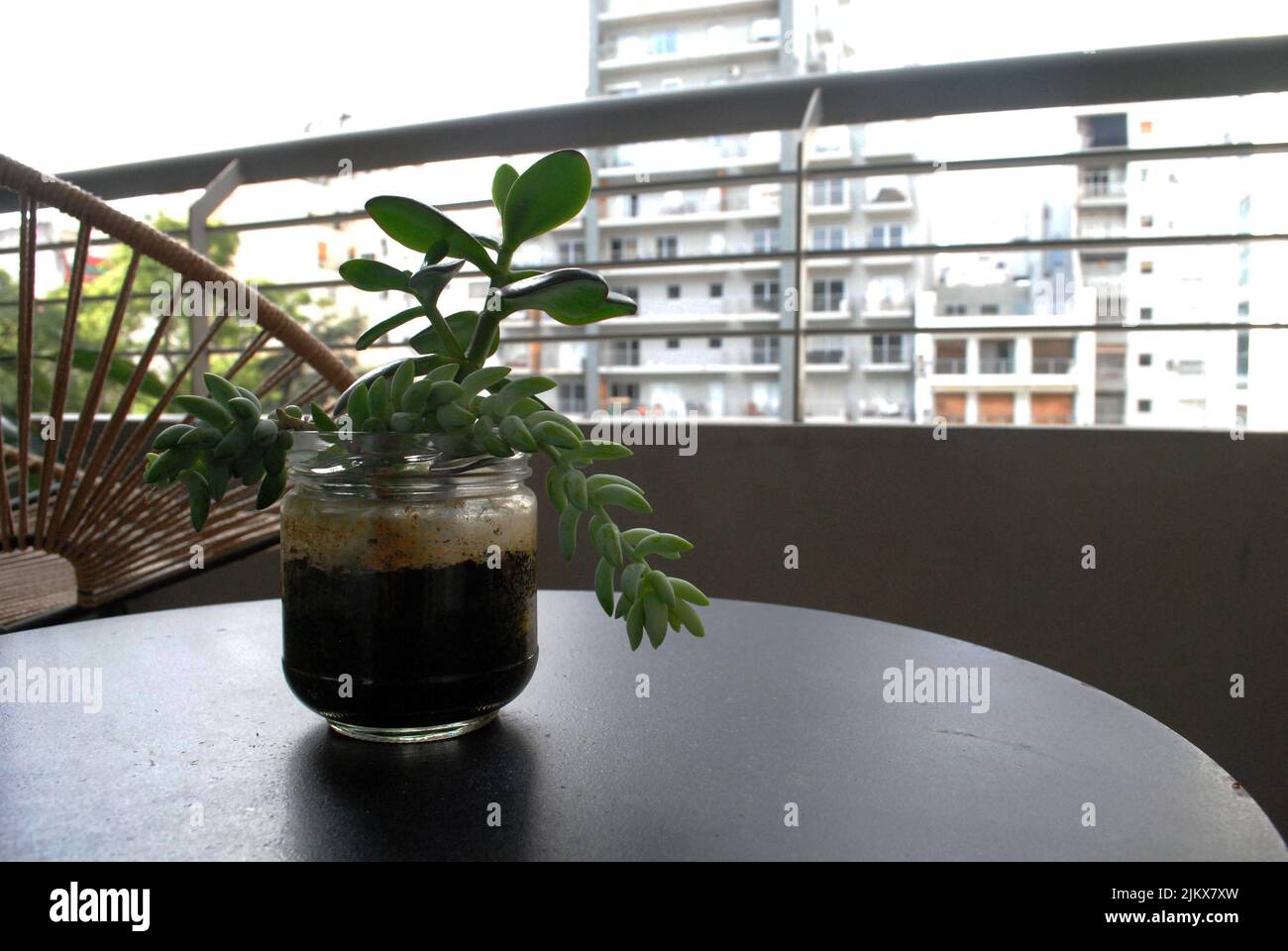 Mesa con planta hi-res stock photography and images - Alamy