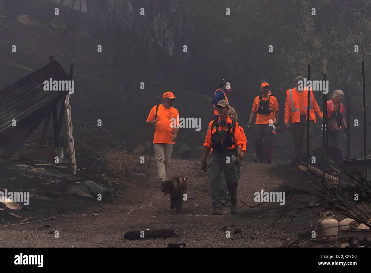 Members of a search and rescue team use a dog during a search  at a property burned by the McKinney Fire near Yreka, California, U.S., August 1, 2022. REUTERS/Carlos Barria Stock Photo