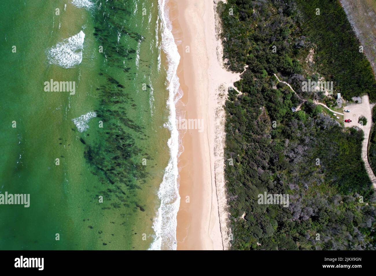 An aerial view of a beach with dense green trees Stock Photo - Alamy