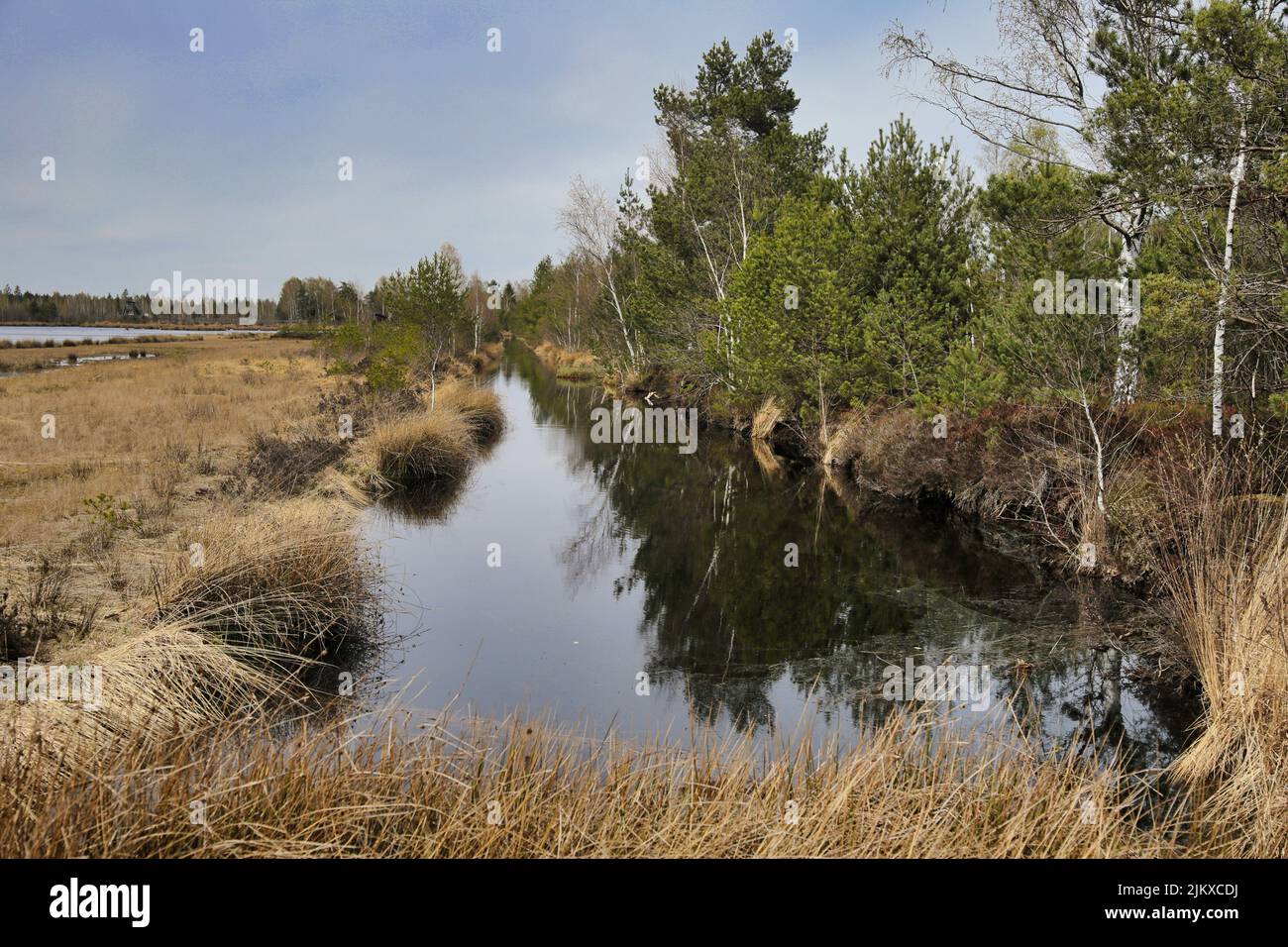 Ansichten in einem Hochmoor in Bayern Stock Photo