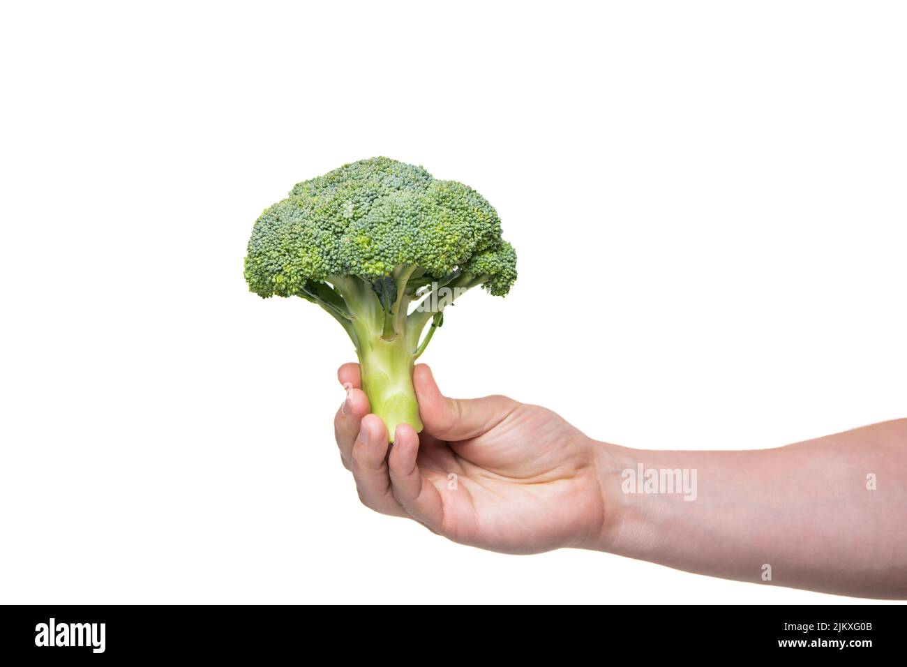 broccoli green vegetable in hand isolated on white background Stock Photo