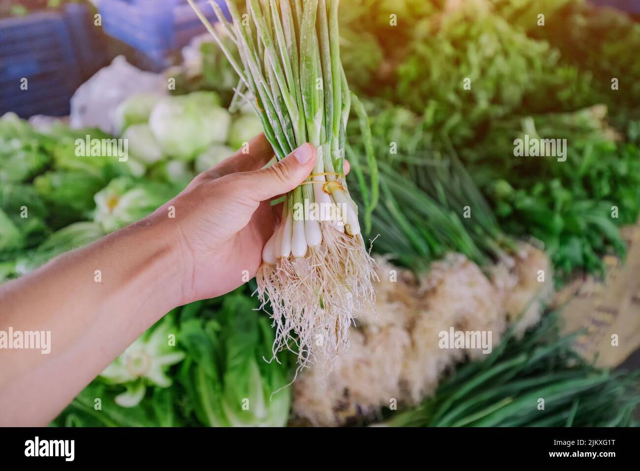 Buyers hand with green onion and other herbs at the local farmers market. Choosing organic eco food production and fresh ingredient Stock Photo