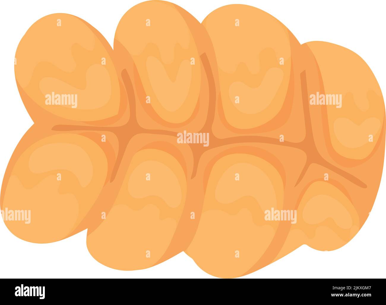 delicious fresh bread Stock Vector Image & Art - Alamy