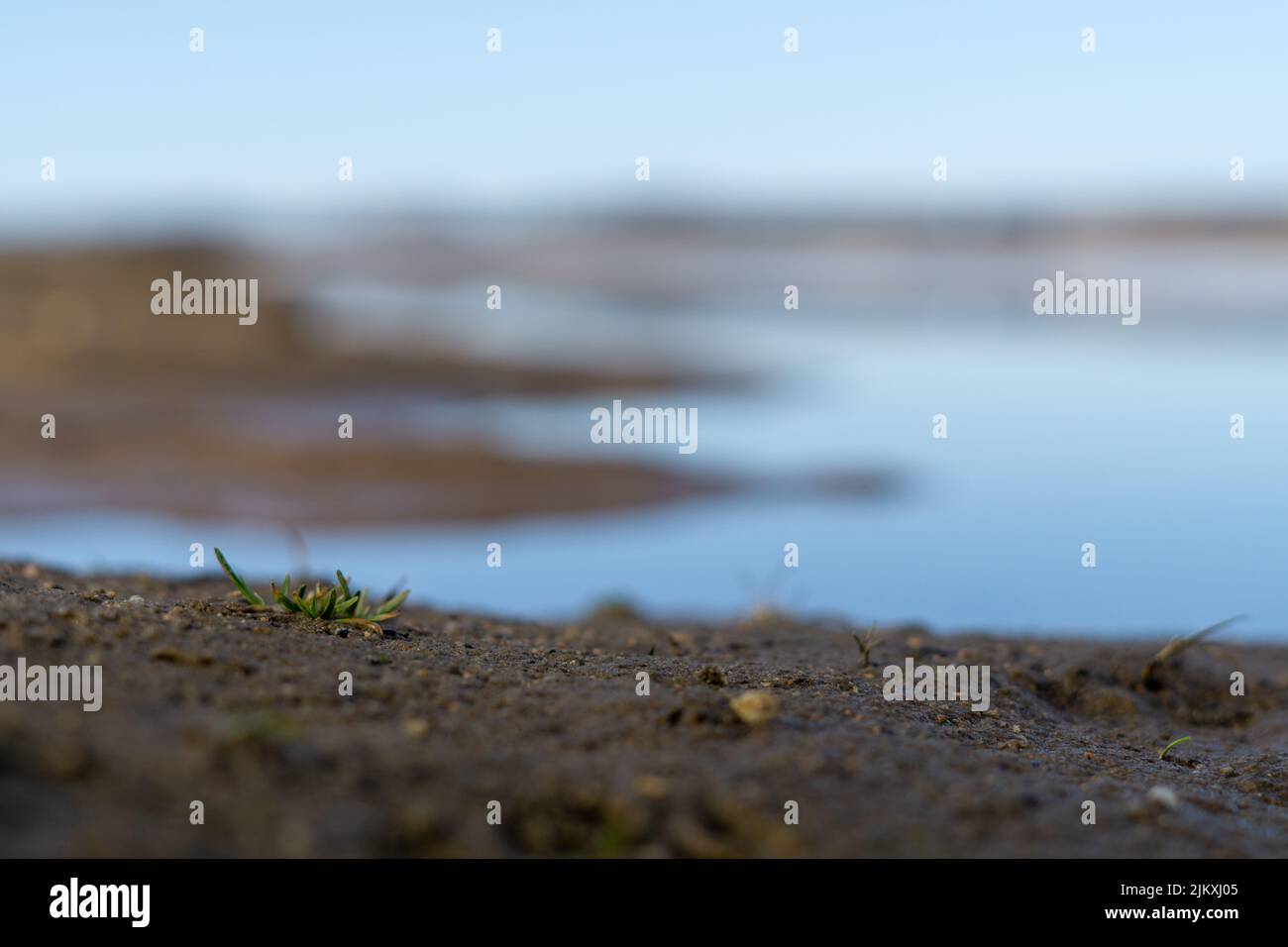 Landscaping reflect hi-res stock photography and images - Alamy