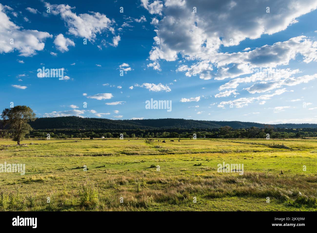 Farm fields new mexico hi-res stock photography and images - Alamy