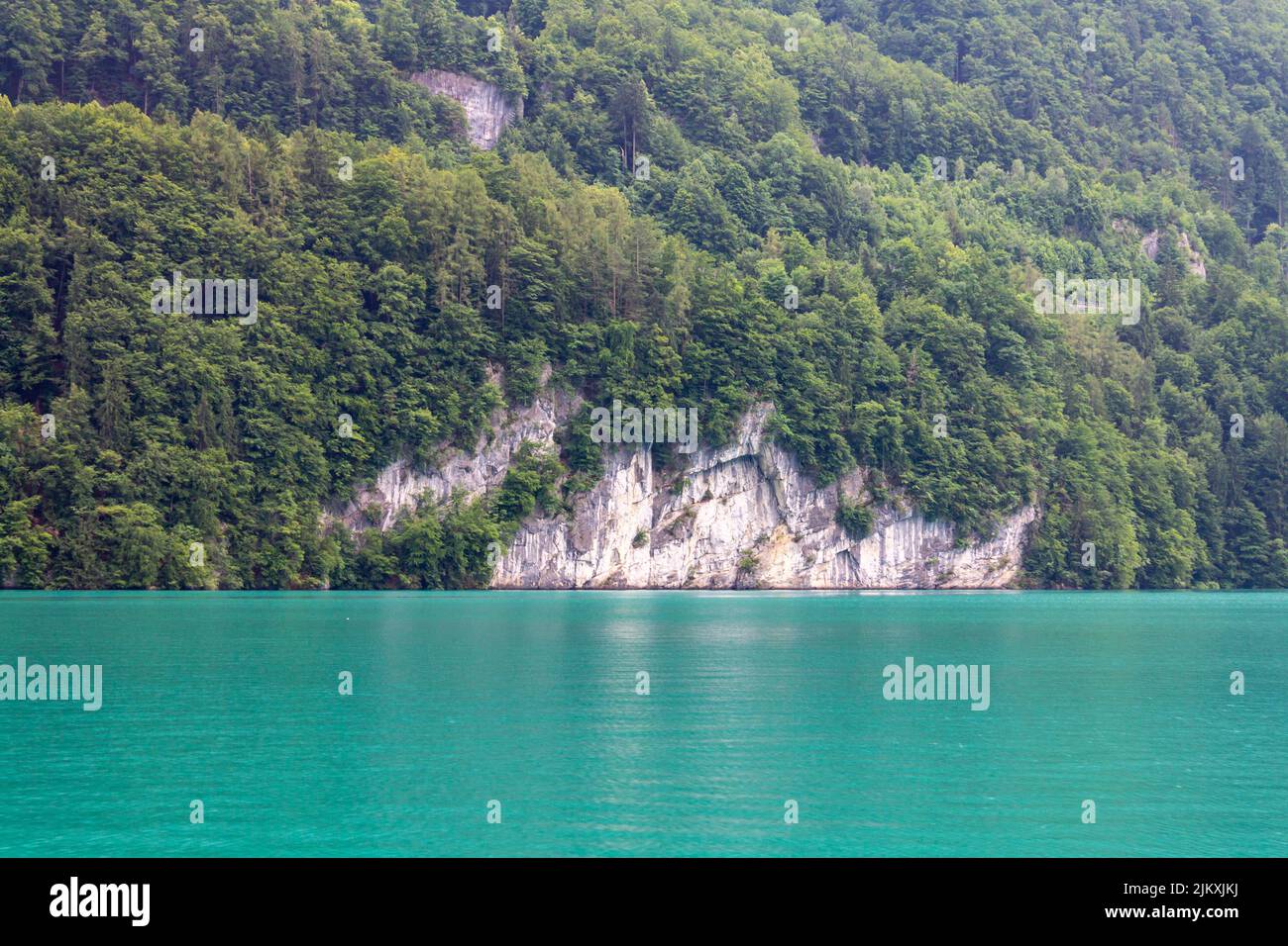 The beautiful view of Lake Brienz and the green shore. Interlaken ...