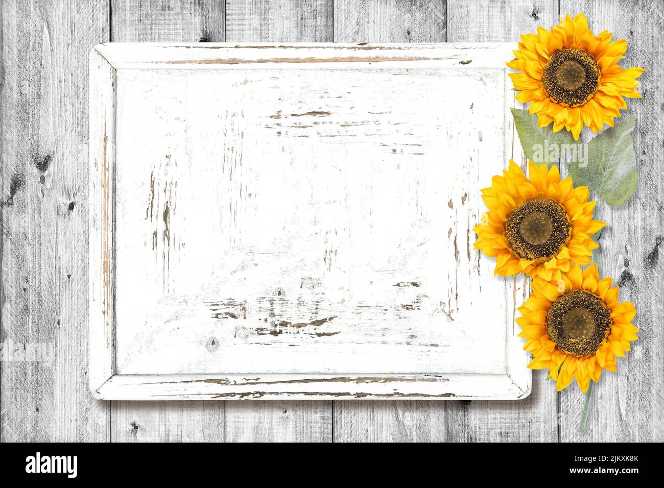 White wood sign board with sunflowers decoration. Rustic wooden texture background Stock Photo