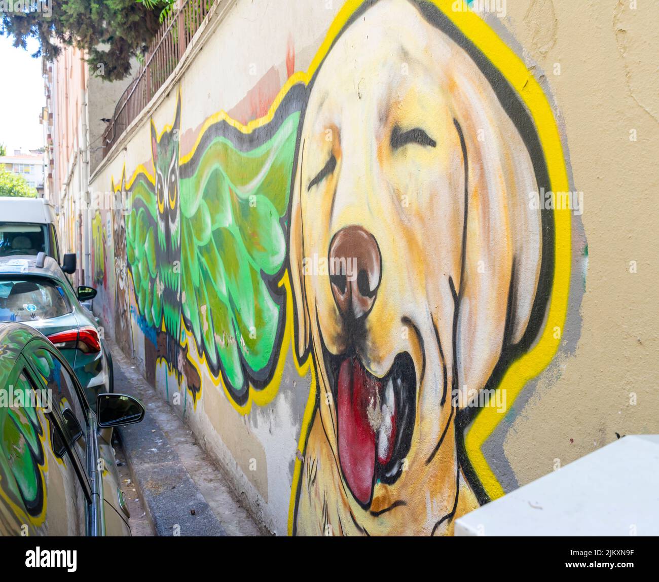 Mural depicting  a dog. Street art, murals in Kadiköy district of Istanbul, Turkey Stock Photo