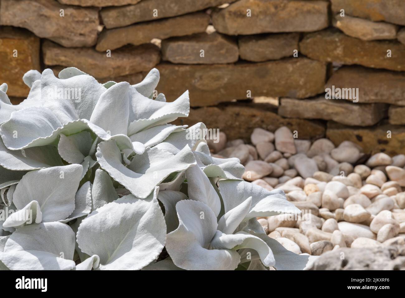 Beautiful garden wallpaper hi-res stock photography and images - Alamy
