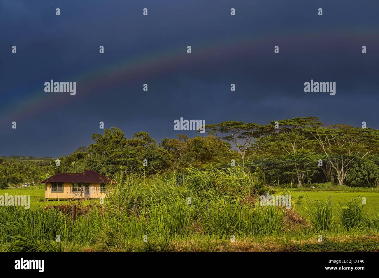 A RAINBOW BREAKING THROUGH DARK CLOUDS OVER A LUSH FIELD WITH A SMALL STRUCTURE ON KAUAI HAWAII Stock Photo