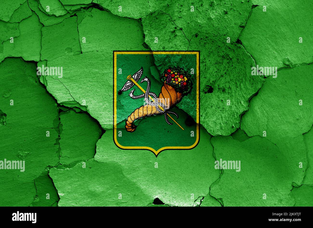 flag of Kharkiv painted on cracked wall Stock Photo