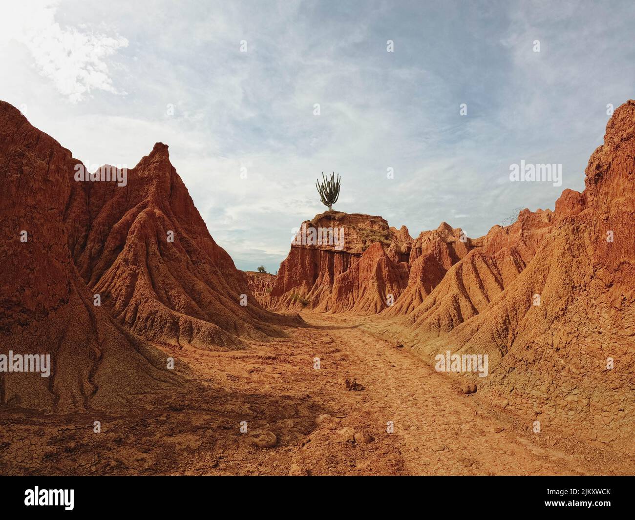 Colombia desert hi-res stock photography and images - Alamy