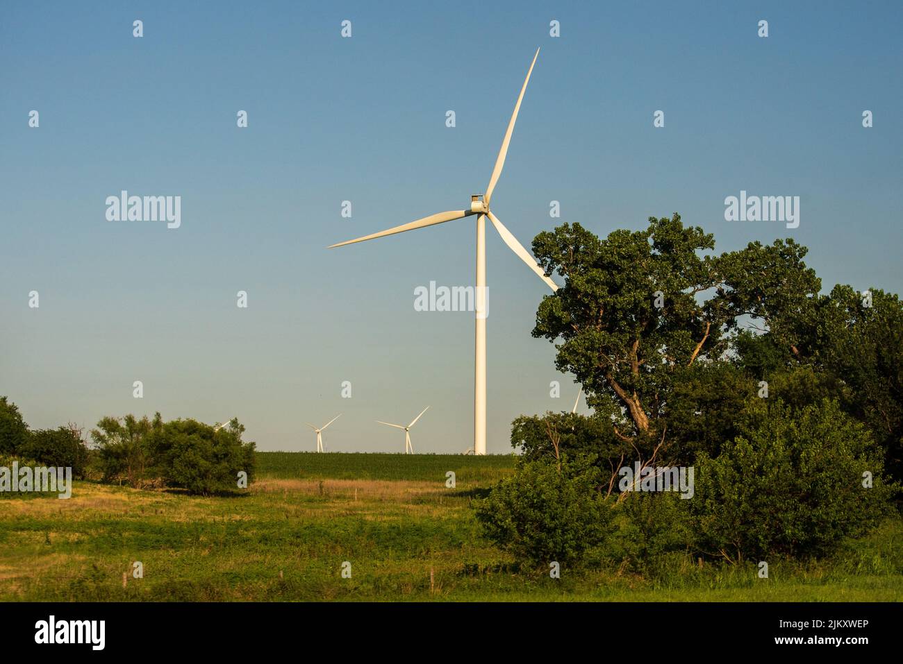A field with wind turbines in rural Oklahoma, the USA Stock Photo Alamy