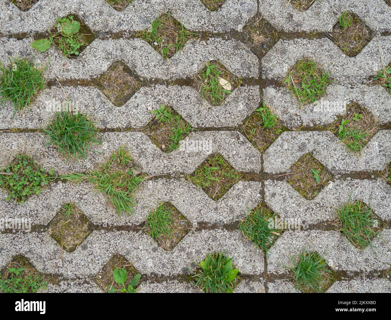 Grass grows through paving slabs. Pattern from the flooring. Bridge ...