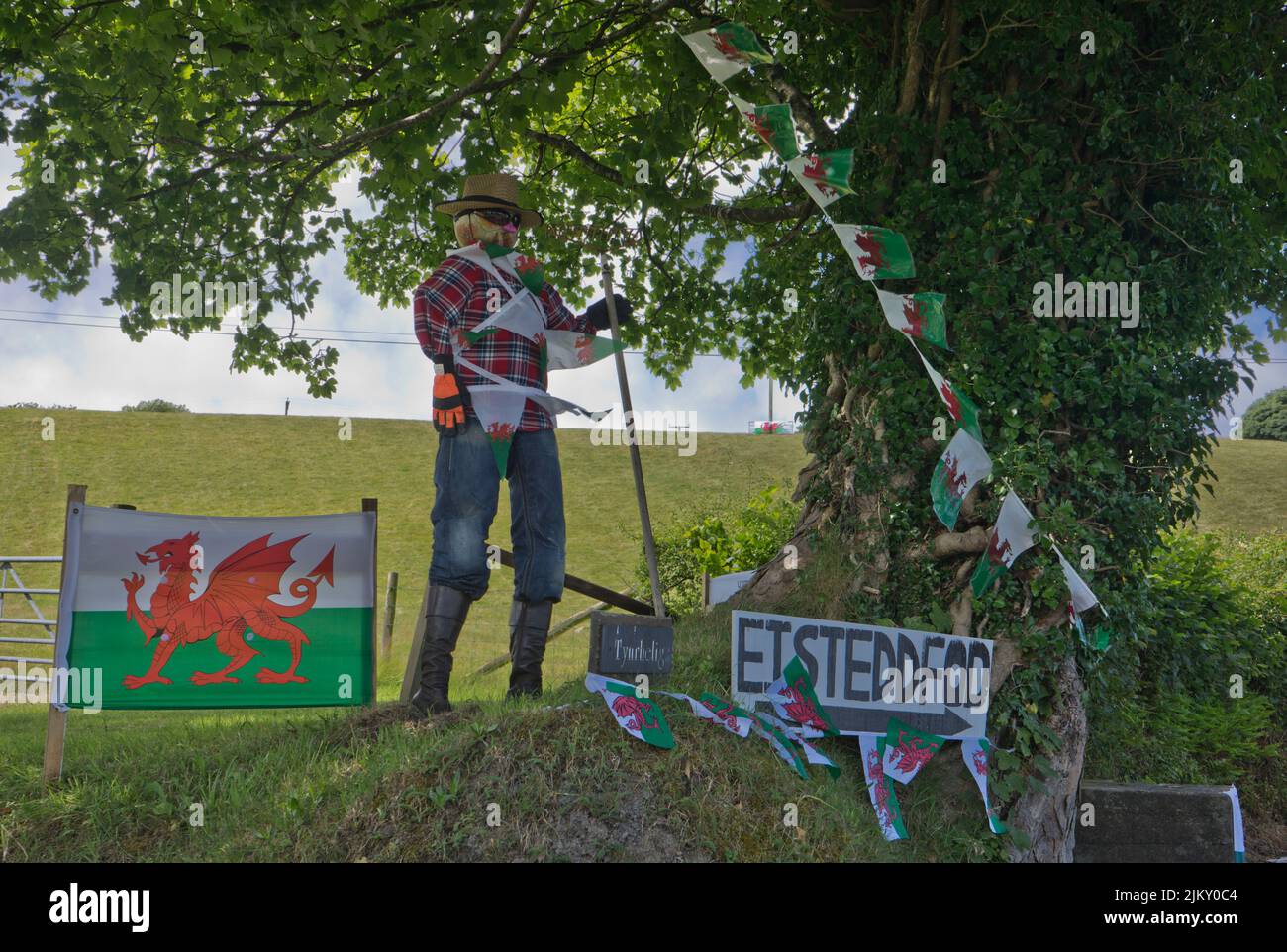 Local villages display Welsh flags and banners during the National Eisteddfod festival of Welsh culture and traditions in Tregaron,Ceredigion,Wales,UK Stock Photo