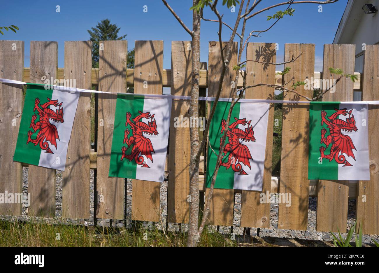 Local villages display Welsh flags and banners during the National Eisteddfod festival of Welsh culture and traditions in Tregaron,Ceredigion,Wales,UK Stock Photo