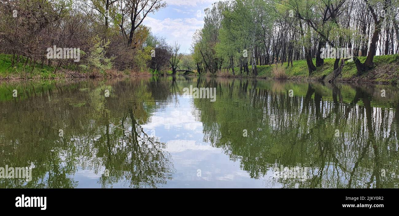 The beautiful natural landscape shot with a tree reflection on a river ...