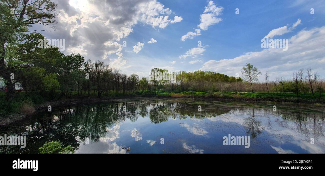 The beautiful natural landscape shot with a tree reflection on a river ...