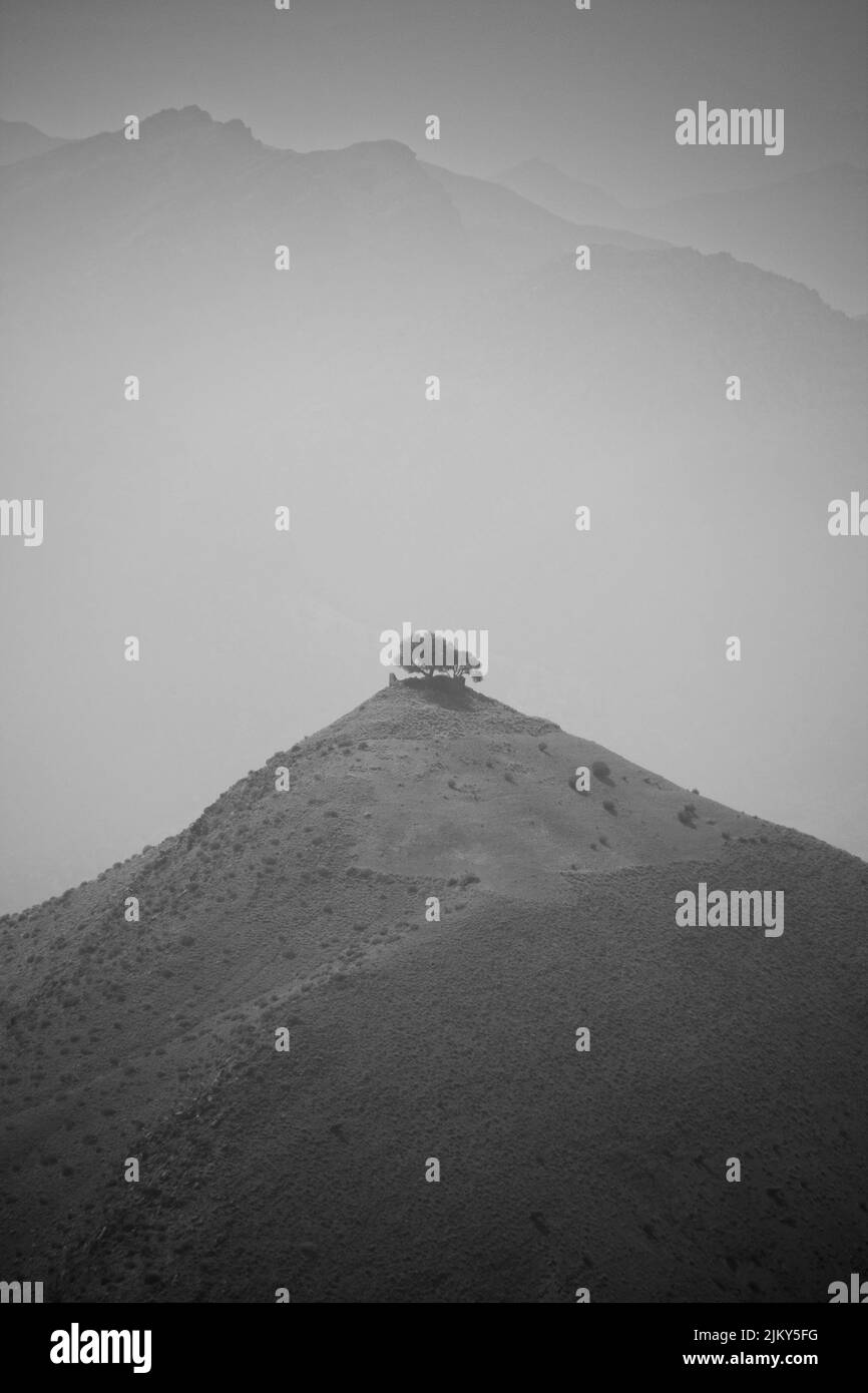 A grayscale shot of a tree on top of a hill against the background of misty mountains Stock Photo