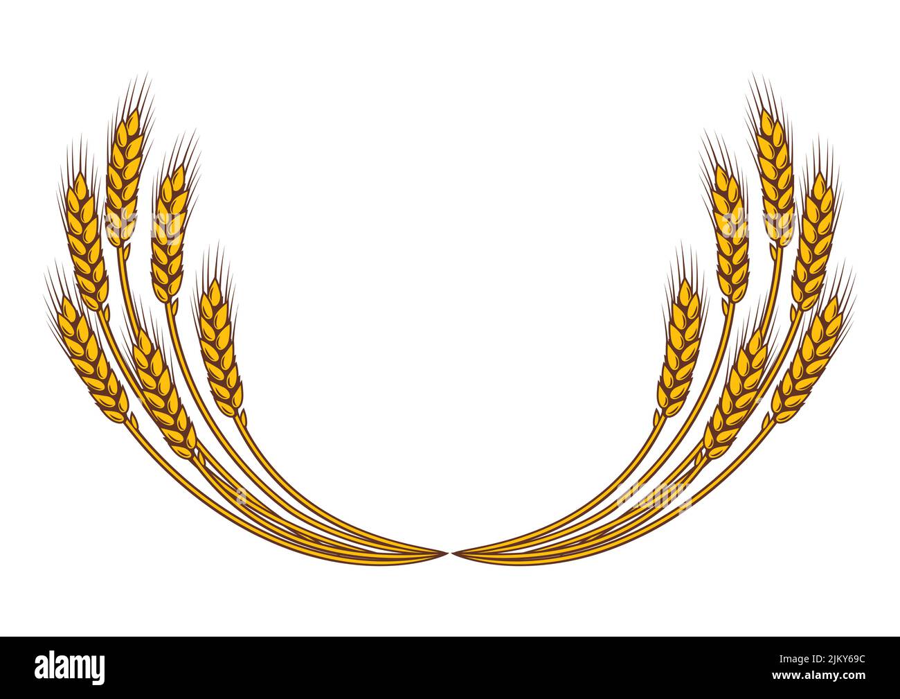 Bunch of wheat. Agricultural image with natural golden ears of barley or rye. Stock Vector