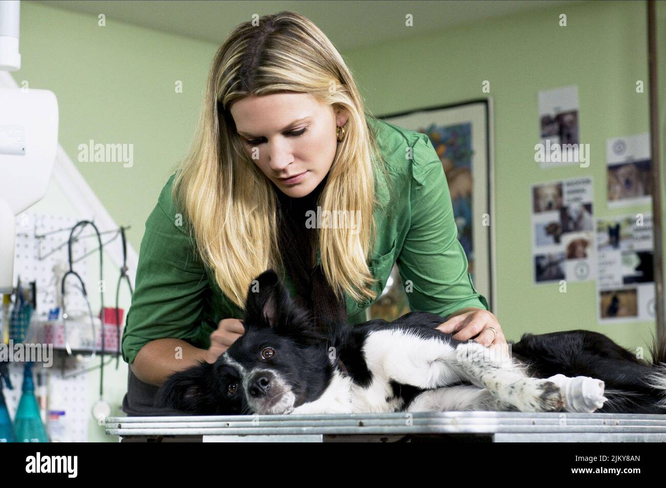 NATASHA HENSTRIDGE, YOU LUCKY DOG, 2010 Stock Photo