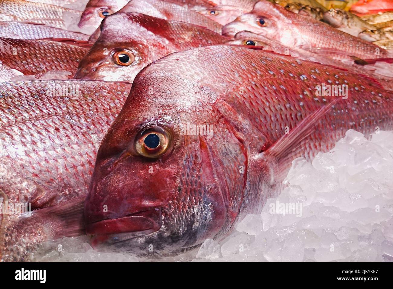 Big red fish on display in the markets Stock Photo Alamy