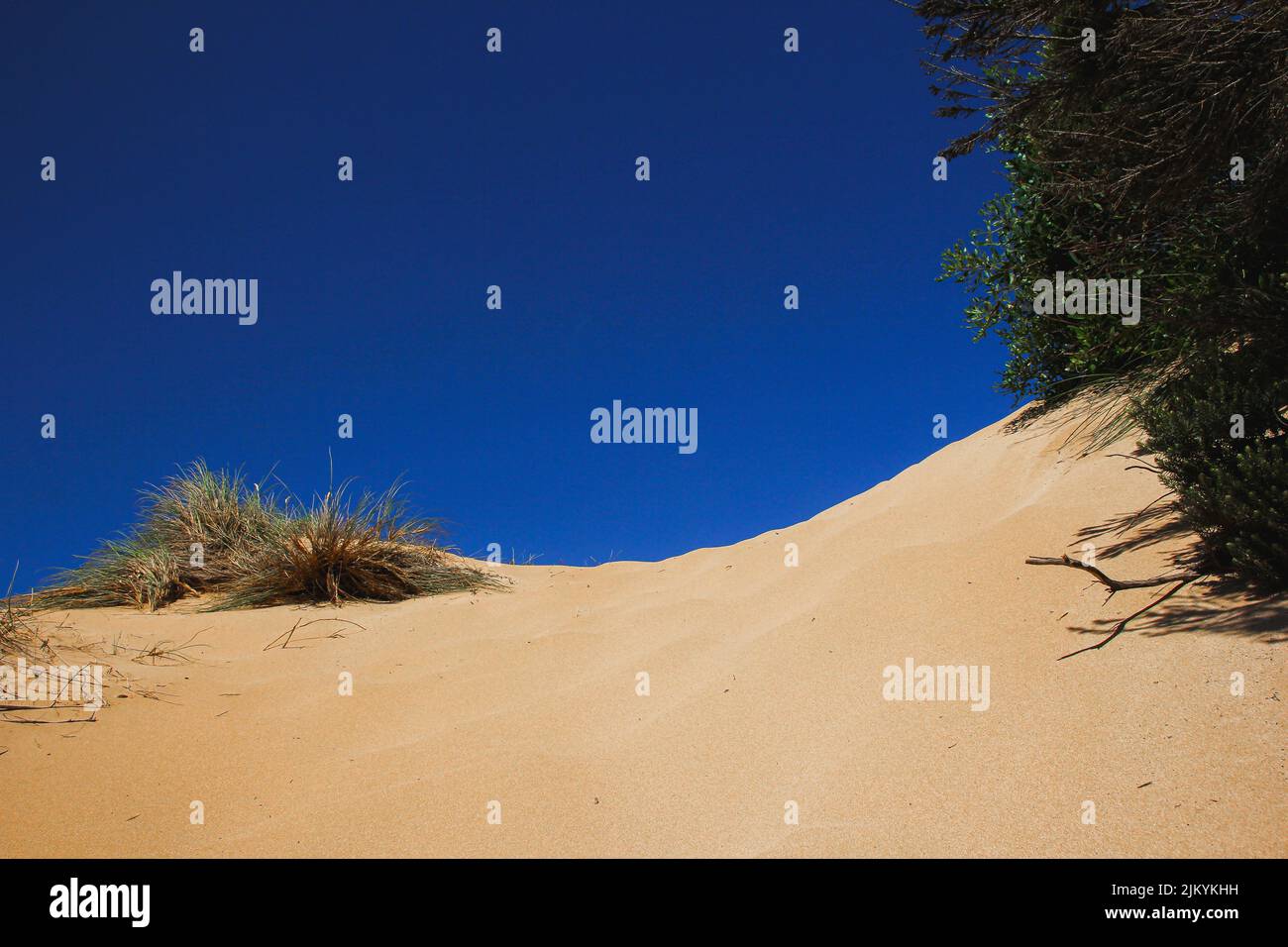 Deep blue sky and hot sand Stock Photo Alamy