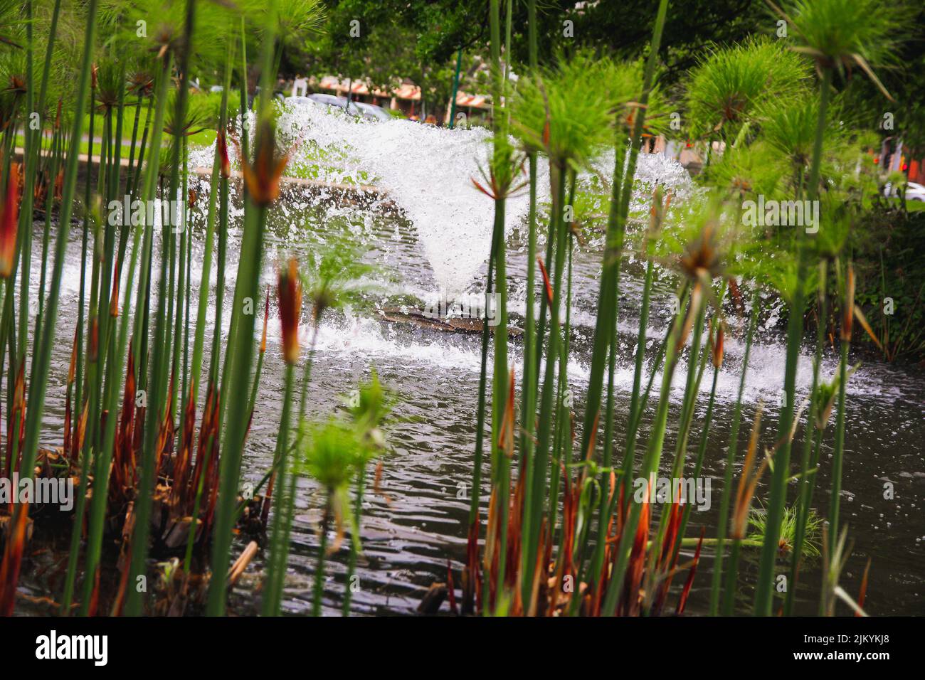 Small fountain spraying water in a park Stock Photo - Alamy