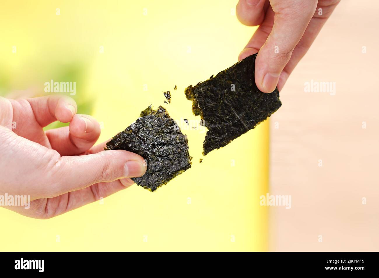 Person's hands cracking a dried seaweed Stock Photo Alamy