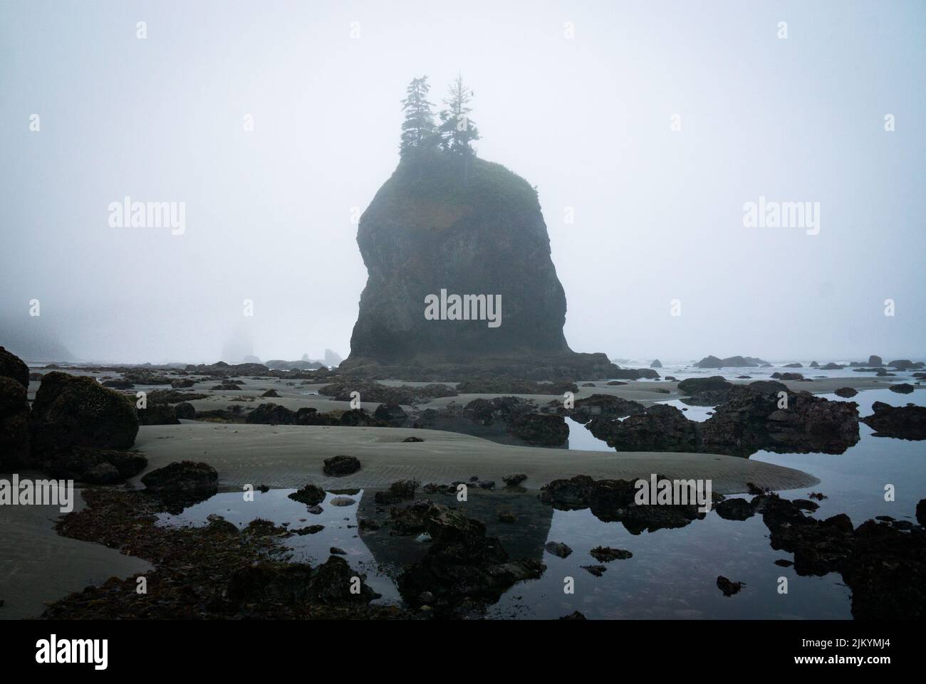 Seastacks and tidepools in the misty morning along the North Coast of ...