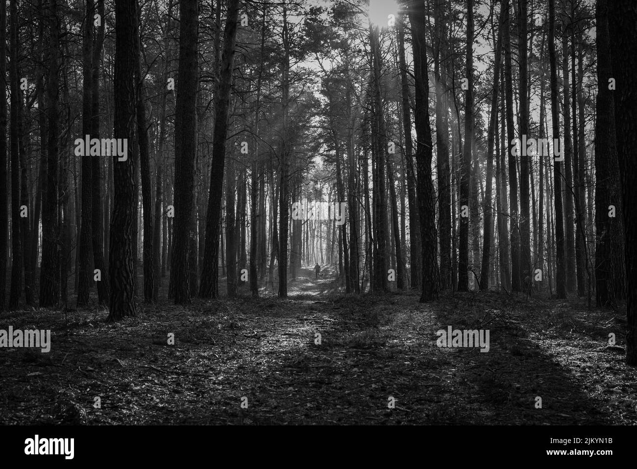 Walk way Black and White Stock Photos Images Alamy