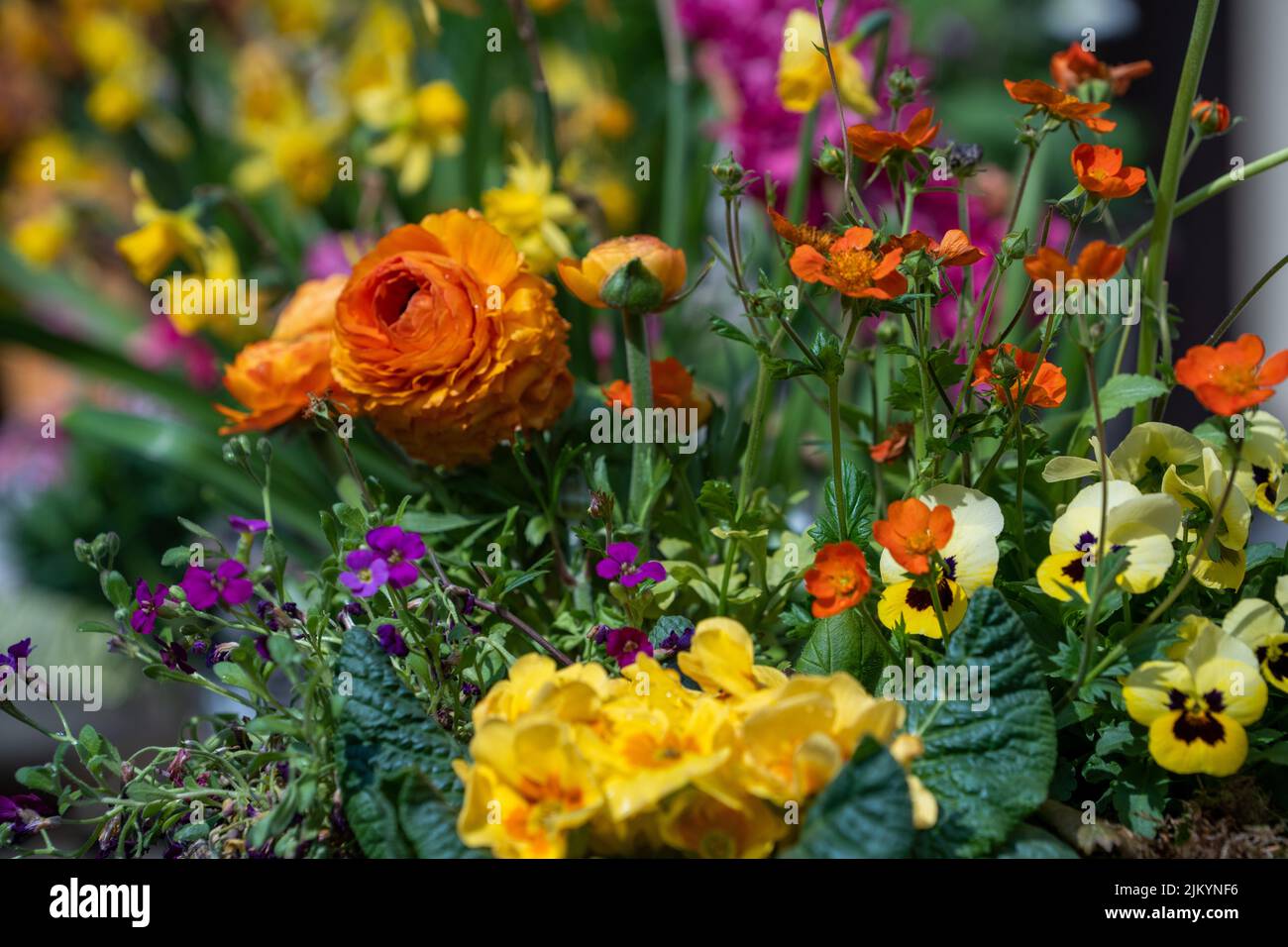 Bright scenic morning view hi-res stock photography and images - Alamy