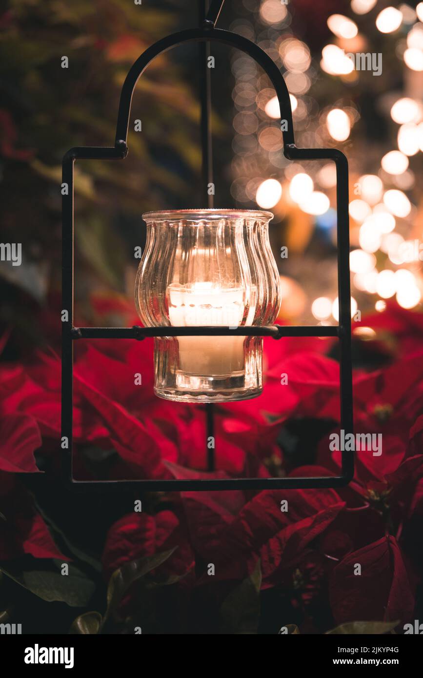 A vertical shallow focus shot of a candle in the glass above the red roses against the bokeh lights Stock Photo