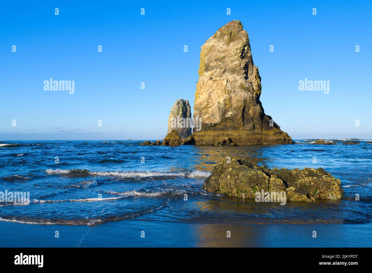 Waves gently surround The Needles seastack at Cannon Beach Oregon with a perfect morning blue sky Stock Photo