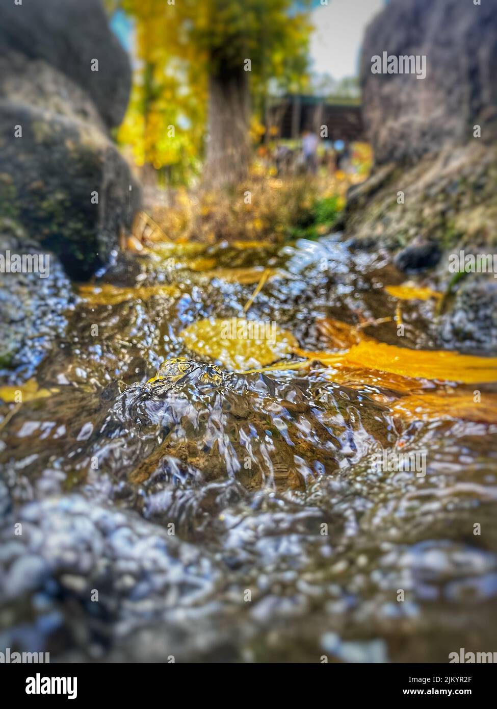 Stream Between Two Rocks Stream between leaves hi-res stock photography and images - Alamy