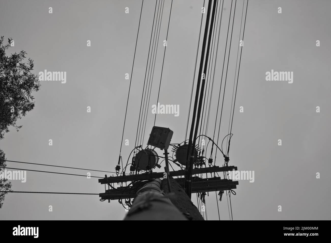 A low angle shot of telephone pole wires in black and white Stock Photo