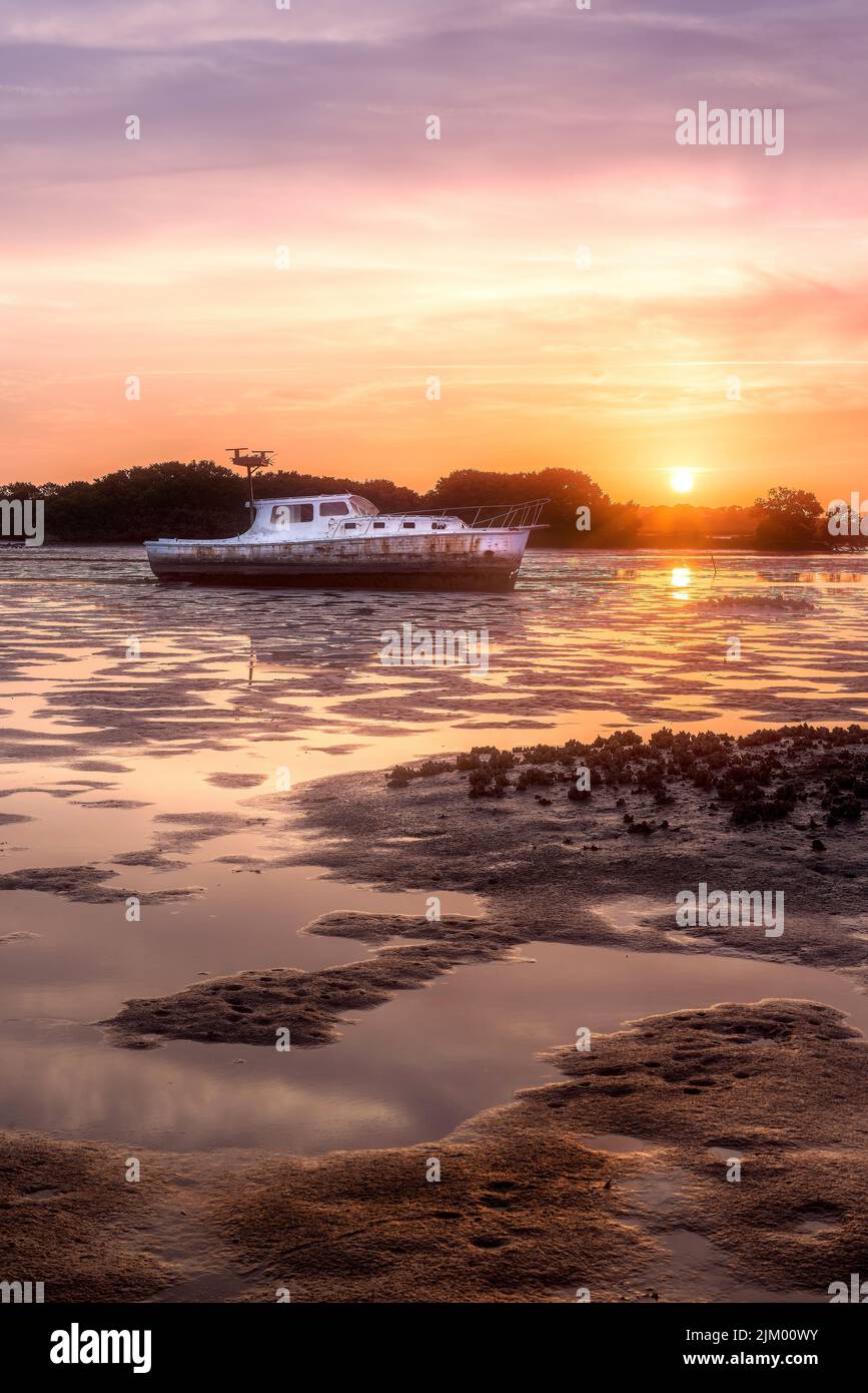 A breathtaking vertical view of an abandoned boat at low tide in Cedar