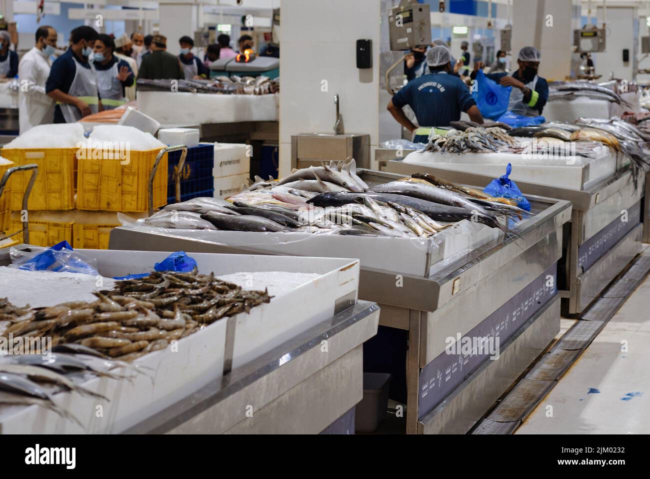 The Waterfront Market fish market in Dubai, UAE Stock Photo Alamy