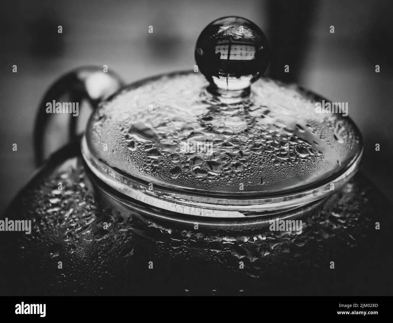 A grayscale closeup shot of a glass teapot Stock Photo