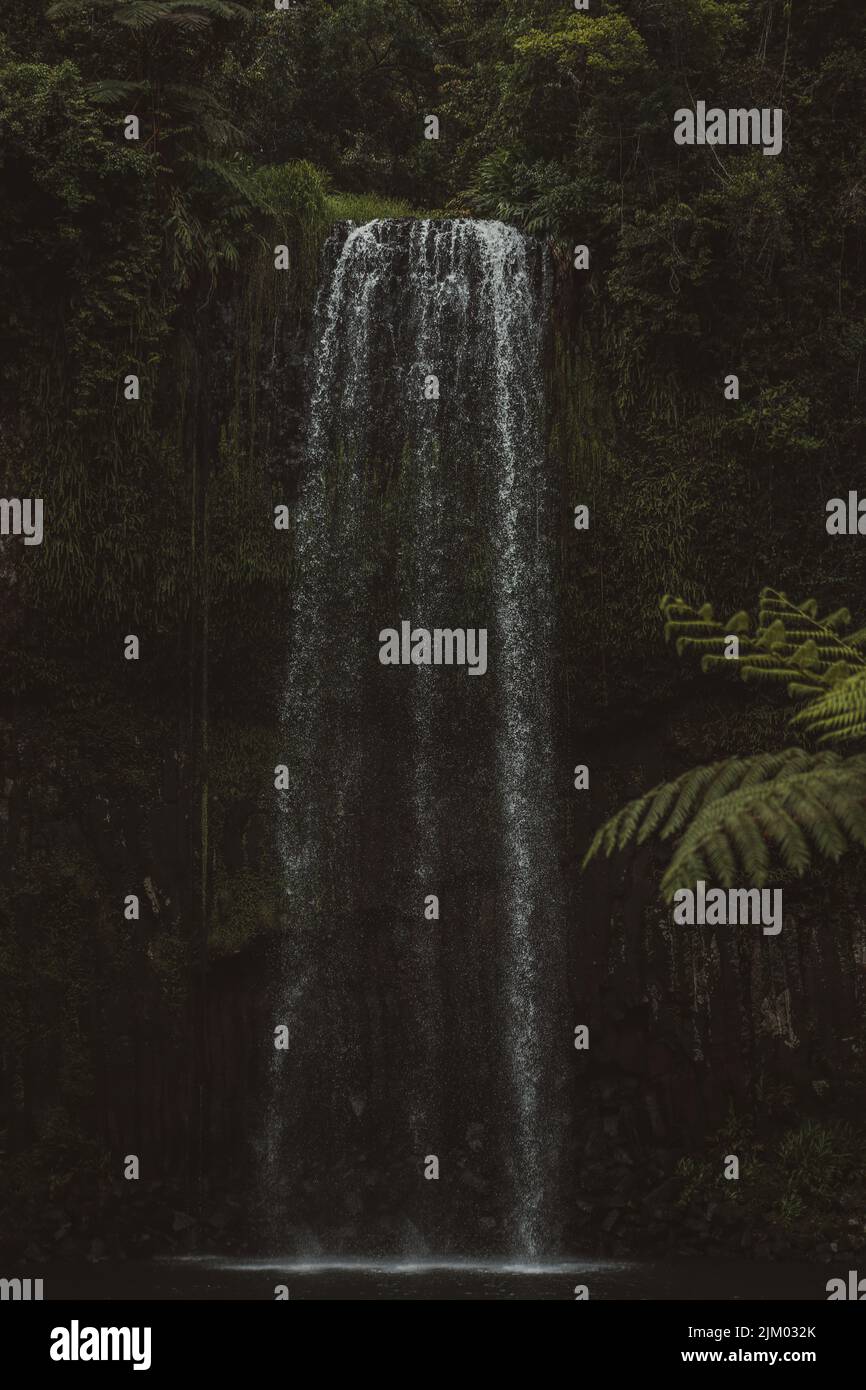 A vertical scenic view of waterfall flowing in dark forest Stock Photo ...
