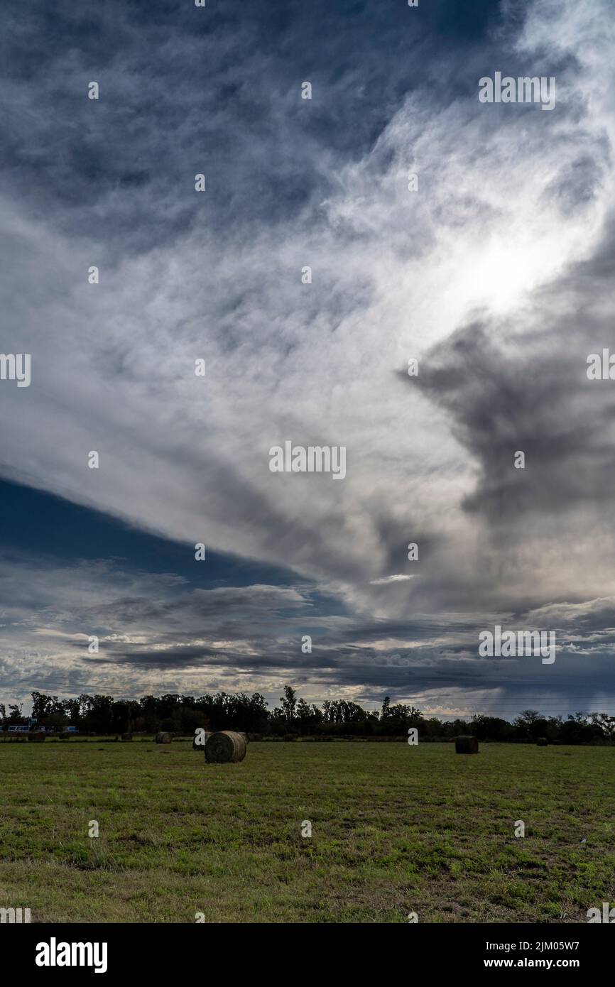 A vertical shot of a green field with hay under the blue cloudy sky Stock Photo