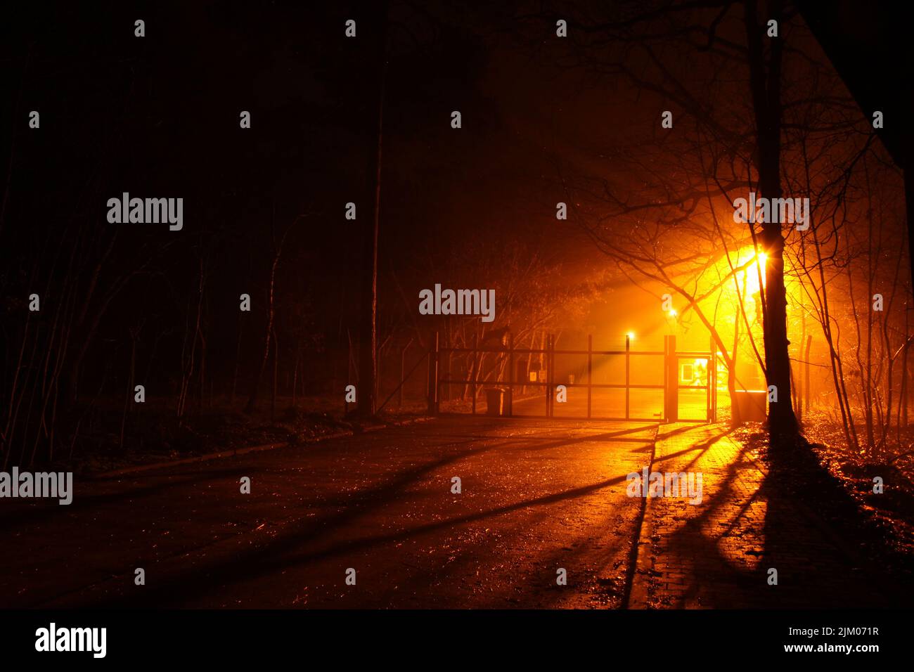 Street light summer night park hi-res stock photography and images - Alamy