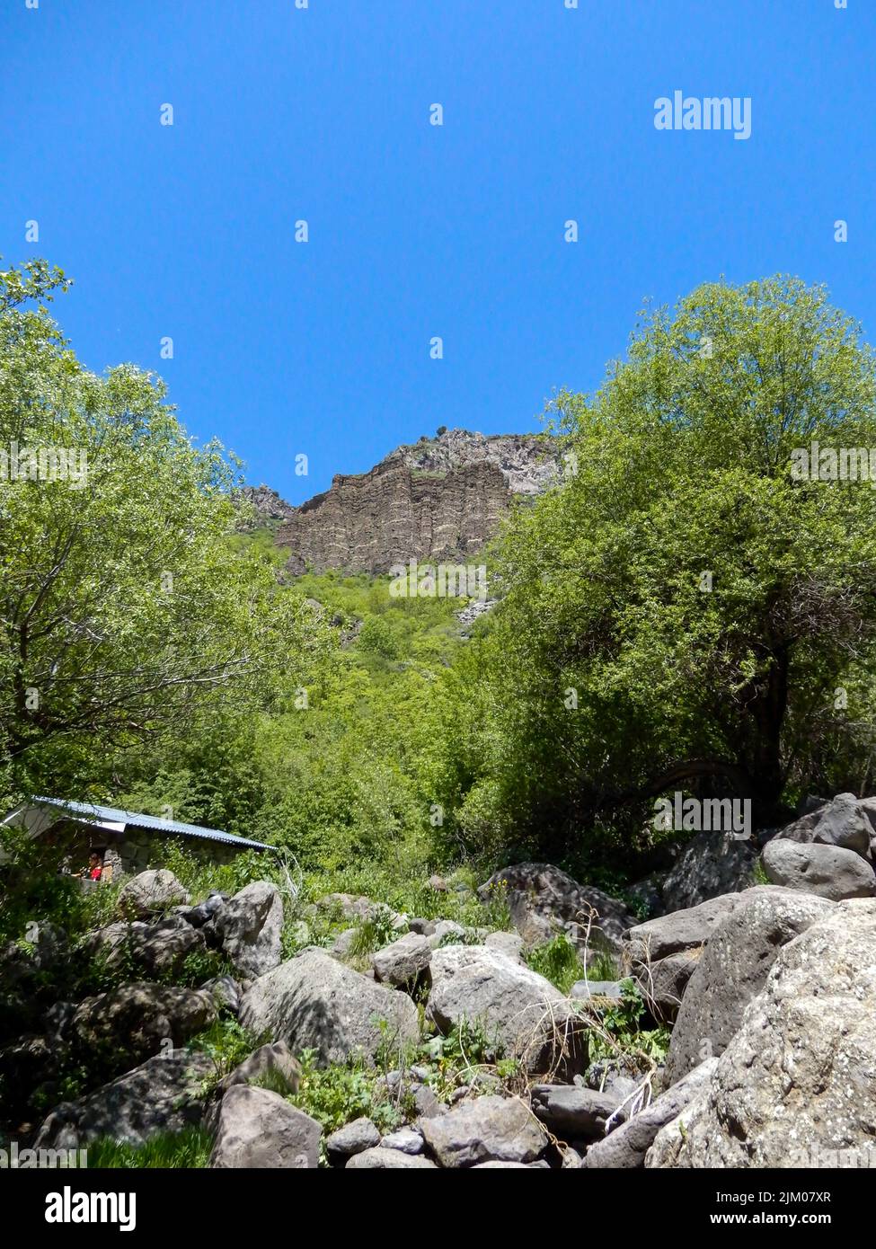 A closeup of a rocky mountain with green luscious trees against a blue sky Stock Photo