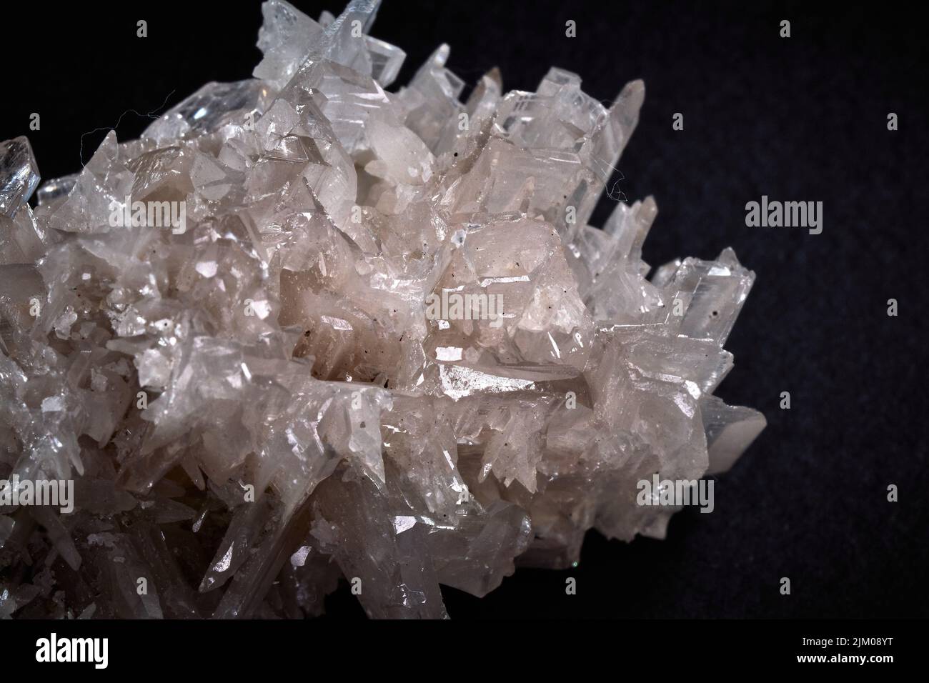 A closeup of a rare mineral row uncut white crystal Stock Photo